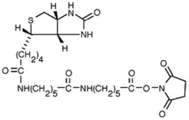 5f30f890e784b.png image.png