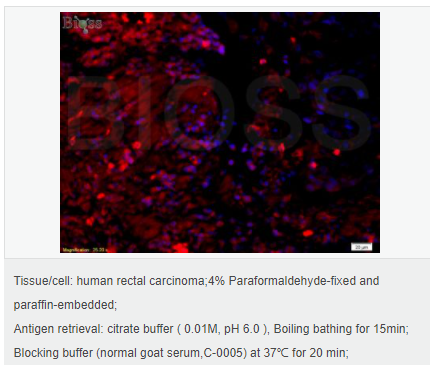 6051b2cdee59b.png image.png