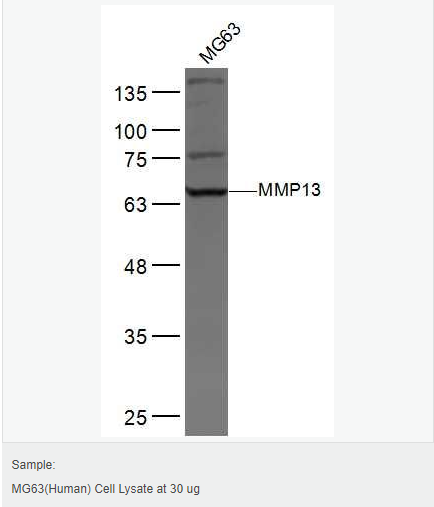 6052af2dcef38.png image.png