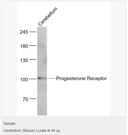 6052b25d6db45.png image.png