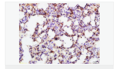 605841de3b29f.png image.png