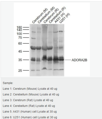 605940f632ebe.png image.png