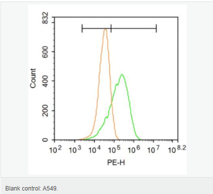 6059412e3ae86.png image.png