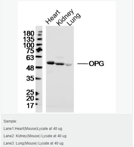 6059438dbd7b1.png image.png