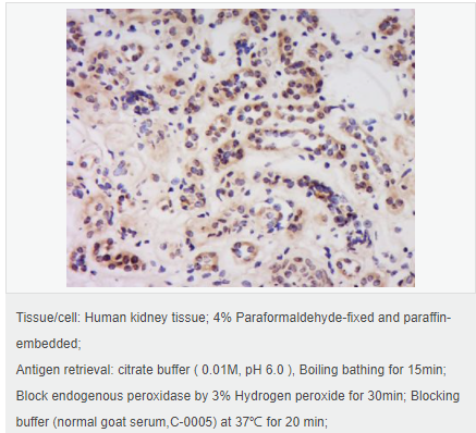 60594950ab5cf.png image.png