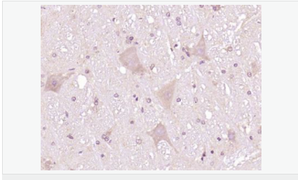 60599753185fb.png image.png