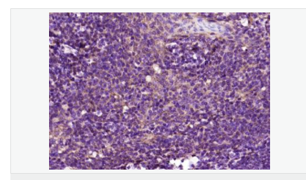 605c3f2836000.png image.png