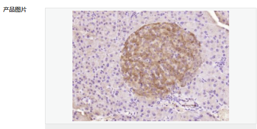 605d8cc094bb6.png image.png