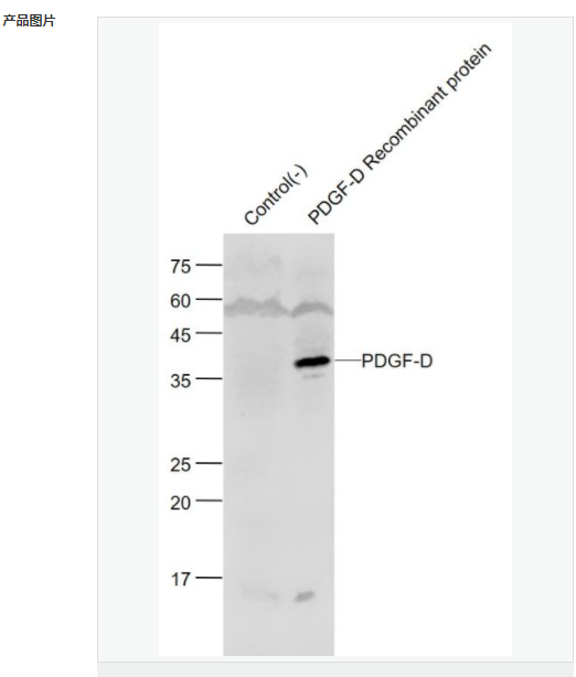 605d9e8016e90.png image.png