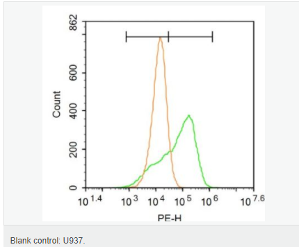 6063cbd9cec2d.png image.png