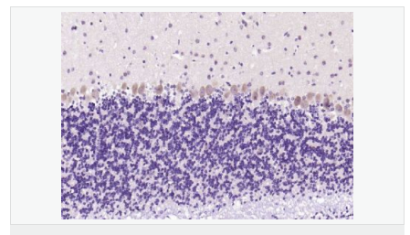 6063d4e589fee.png image.png