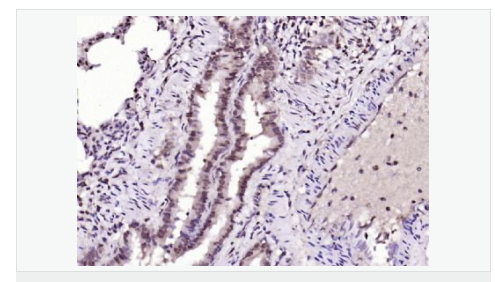 6066ba583e3bf.png image.png