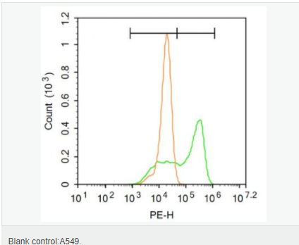 6066c90b60b24.png image.png