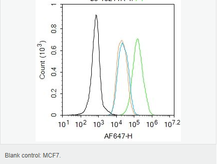 6066d26324feb.png image.png