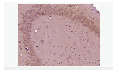 606bba145e908.png image.png