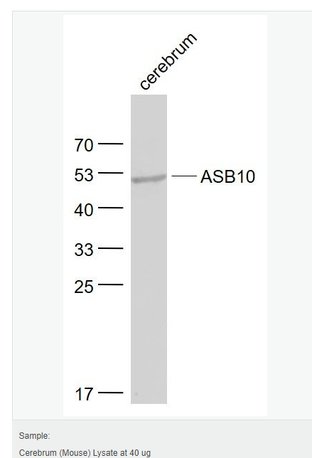 607658fa4f42b.png image.png