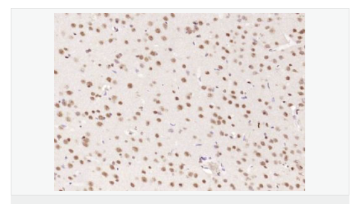 60767b77dff75.png image.png