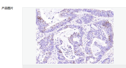 607d14849ad07.png image.png