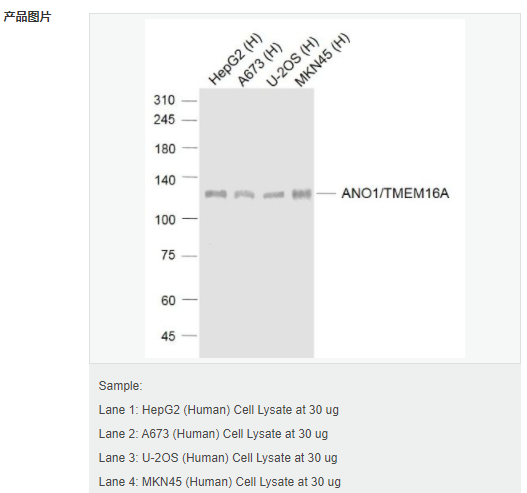 607d2167e27d3.png image.png