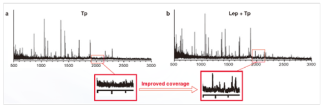 65e175b6cb9fb.png image.png