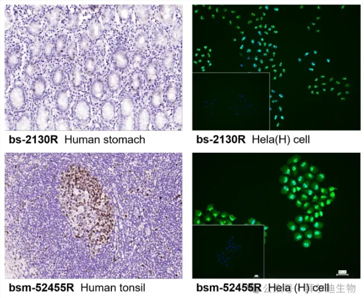 6729d6284e9b7.png image.png